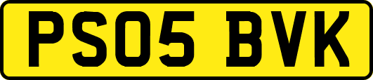 PS05BVK