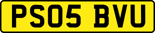 PS05BVU