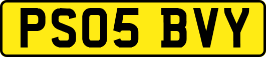 PS05BVY