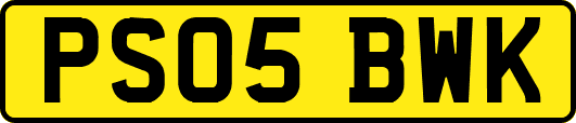 PS05BWK