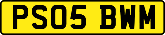 PS05BWM