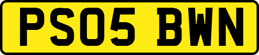 PS05BWN