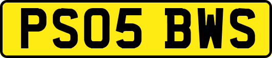 PS05BWS