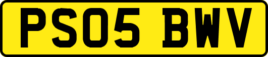 PS05BWV