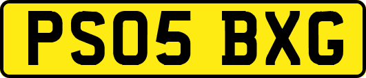 PS05BXG