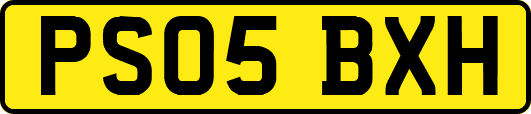 PS05BXH