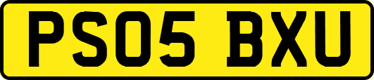 PS05BXU