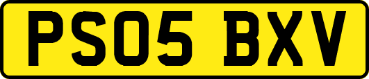 PS05BXV