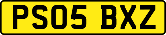 PS05BXZ