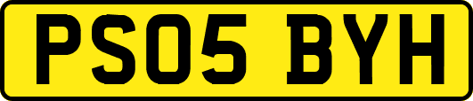 PS05BYH
