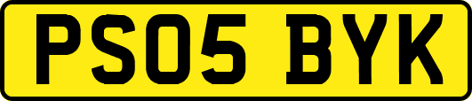 PS05BYK