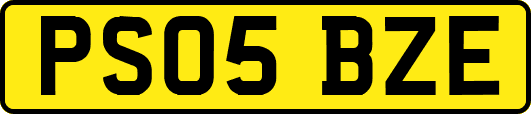 PS05BZE