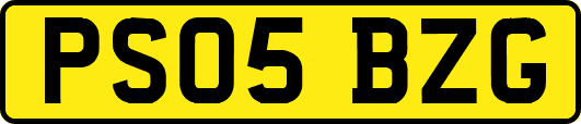 PS05BZG