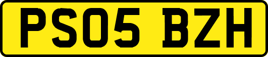 PS05BZH
