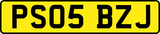 PS05BZJ