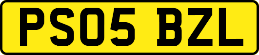 PS05BZL