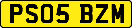 PS05BZM