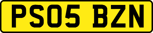 PS05BZN