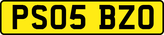 PS05BZO