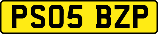 PS05BZP