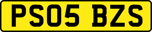 PS05BZS