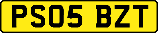 PS05BZT