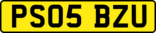 PS05BZU