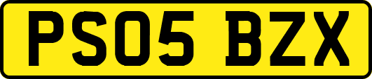 PS05BZX
