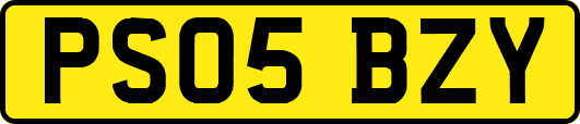 PS05BZY