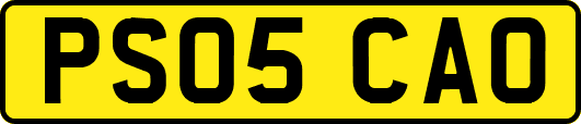 PS05CAO