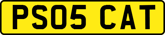 PS05CAT