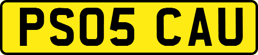PS05CAU