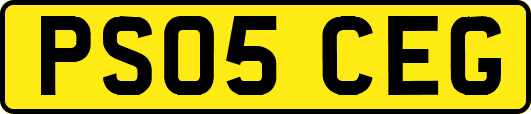 PS05CEG