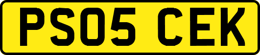 PS05CEK