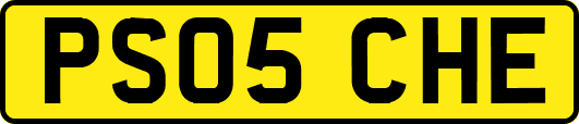 PS05CHE