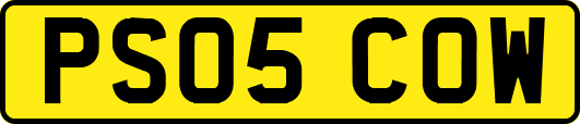 PS05COW
