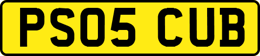 PS05CUB