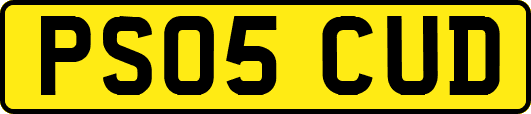 PS05CUD
