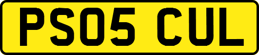 PS05CUL