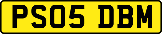 PS05DBM