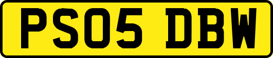 PS05DBW