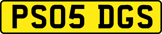 PS05DGS