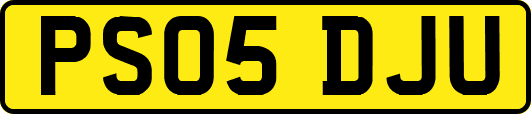 PS05DJU