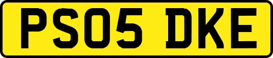 PS05DKE