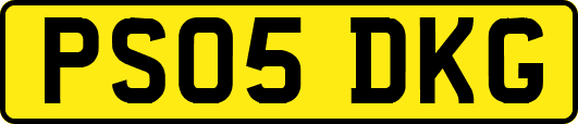 PS05DKG