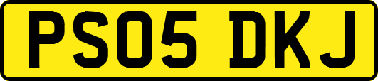 PS05DKJ