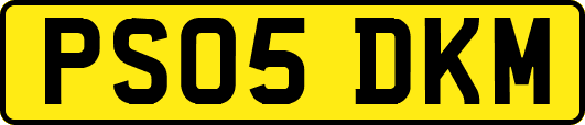 PS05DKM