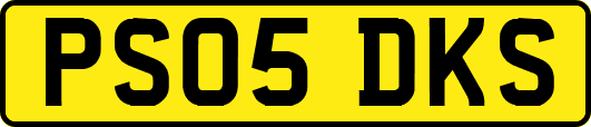 PS05DKS