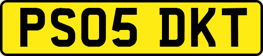 PS05DKT