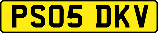 PS05DKV